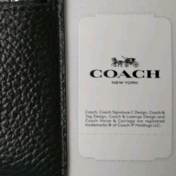 Black panther - Picture 2 of 5